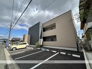 グローリー菊陽の画像