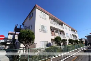 ハイム恵の画像