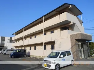 プリムローズIの画像