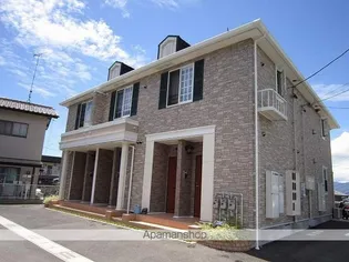 プラシードの画像