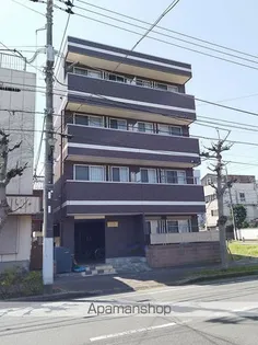 ハーミットパープルの画像