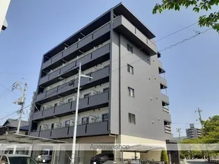 プラシードK さくらの画像