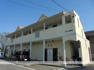 CELEB鵜坂の画像
