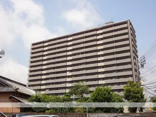 フローレンス鷹匠の画像