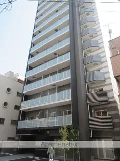 メインステージ錦糸町VIIラピスの画像