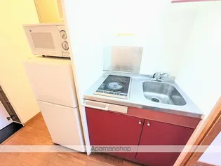 レオパレス木花【203号室】のキッチン