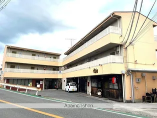 アルカディアの画像