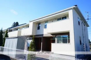 DOGWOOD花咲の画像