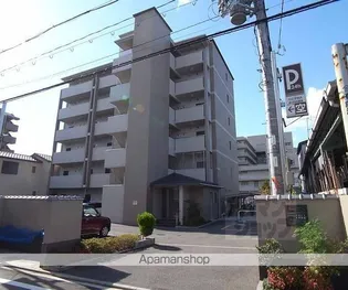 アゼリア五条御前の画像
