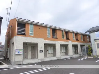 ZENの画像