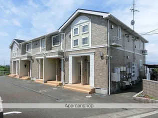 トゥェルブ チャ チャ チャの画像