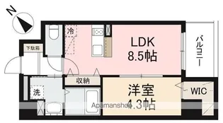 MAYFAIR観光町PREMIUM【5階】の間取り