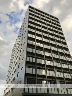 MJSQUARE KOTONIの画像