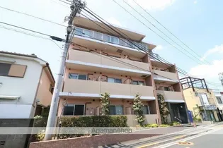 コスモアージュの画像