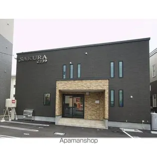 SAKURAの画像