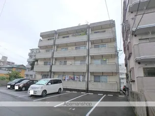 フルータの画像