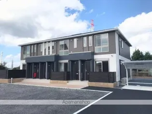 シェモアの画像