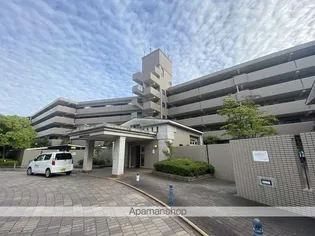 メルベール長尾の画像