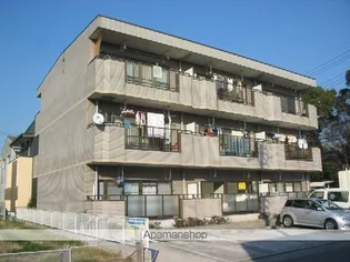 ラ・キャッスルⅡ【3階】の外観