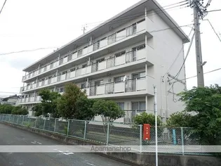 セントポーリア蜆塚【3階】の外観