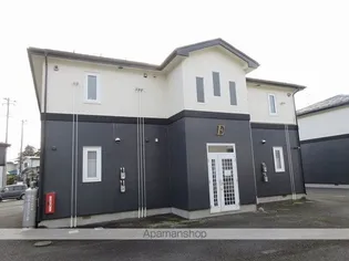 ヴィオラⅡの画像