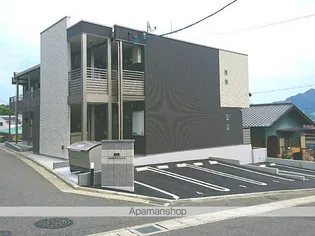 ミランダラフィーナIIの画像