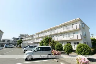 サンヒルズ藤B【3階】の外観