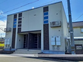 シティ ライツの画像