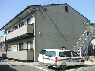 アンプルールフェール51の画像