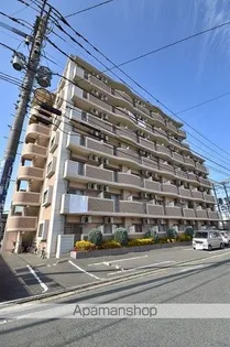 プラシード カーサの画像