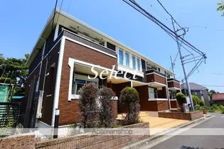 ストレリチア レギネの画像