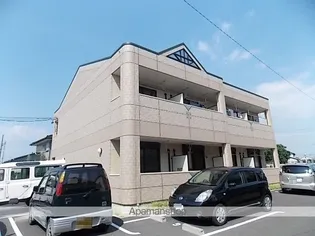 マン アルチェの画像