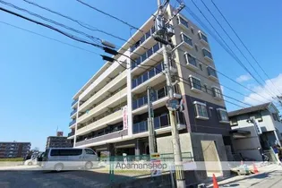 POND MUM MATSUSHIMAの画像