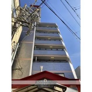 ラッキーキャットの画像