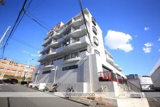 ハイグレースの画像