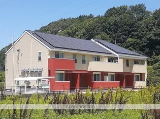 チェリー ブラッサムズの画像