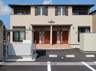 ボニータ Aの画像