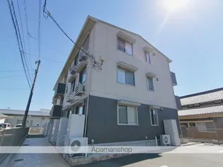 オリーブの画像