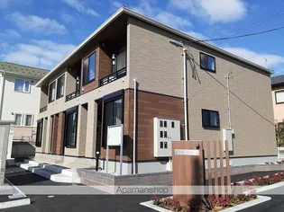 モダン プリムローズの画像