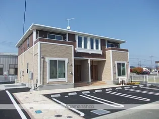 サニープレシャスの画像