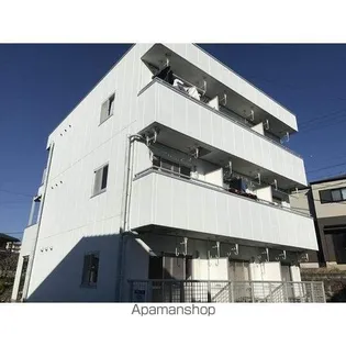 サンライズねの花の画像