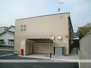 レオネクストルーエ キフネの画像