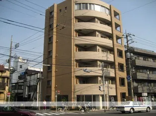 セトルオクサワの画像