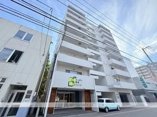 VIOLETTAの画像