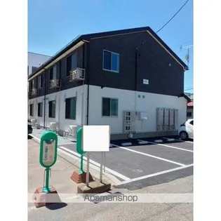 SHAMROCK1の画像