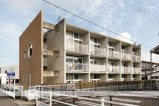 アイビートの画像