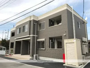 ルピナスの画像