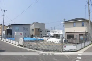 サンフラワーの画像