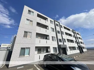 BRUIN Kの画像