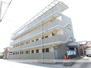 サングリーンの画像